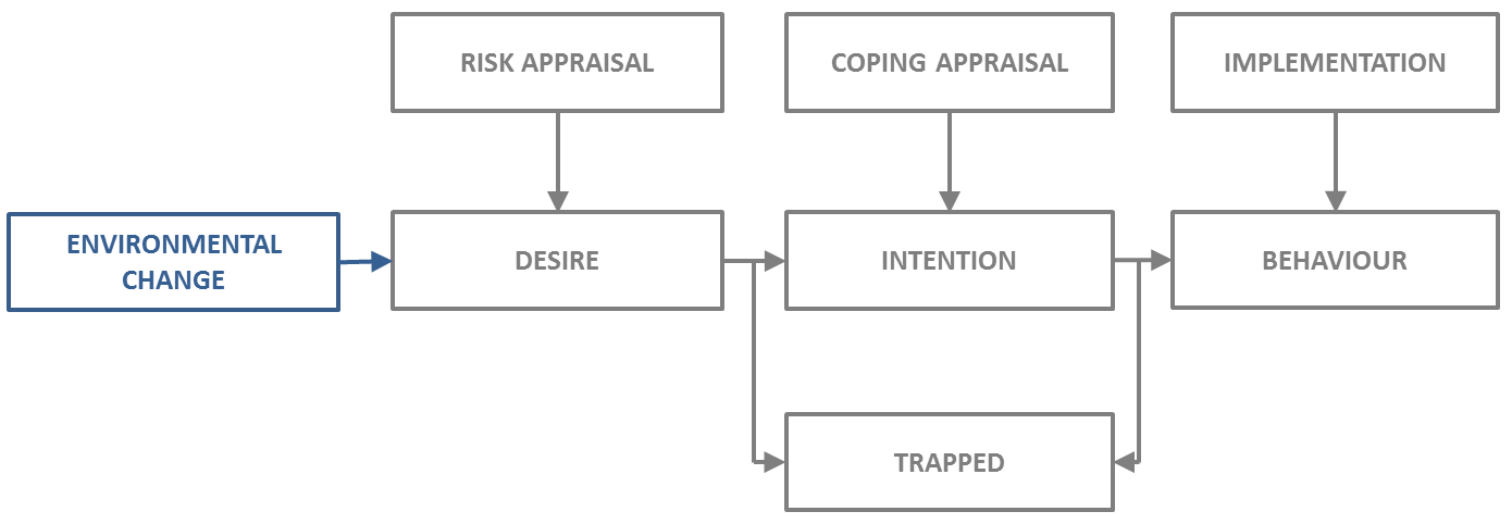 Conceptual Flow Diagram