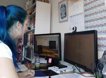 Pip Cox working on her project at home in front of a PC