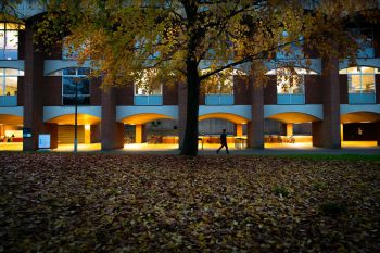 Arches lit up in the evening