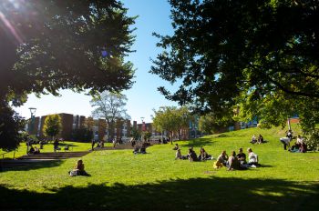 A shot of the campus in summer, students relaxing on the grass with campus buildings in the background and trees framing the shot