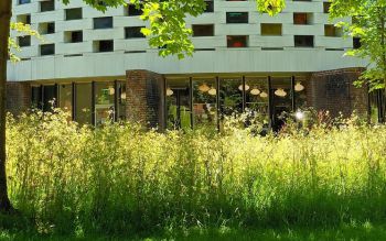 The Meeting House with a lush meadow of tall, wild grasses and flowers in the foreground.