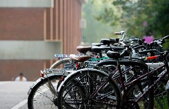 An image of a row of bikes on the University of Sussex Campus