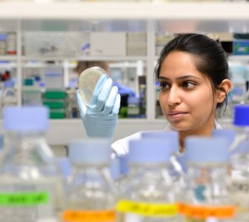 Student looks at petri dish