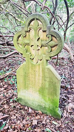 Photo of a grave in the grounds of the former Sussex County Asylum
