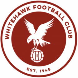 logo featuring a white hawk and a football