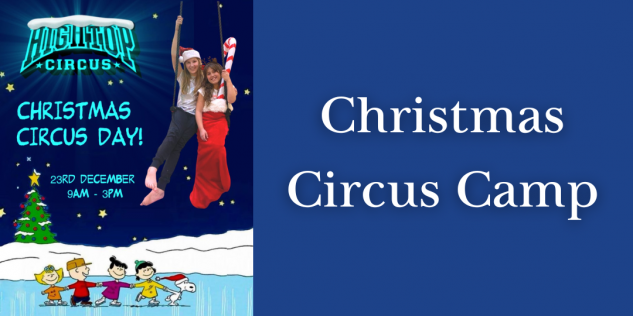 a poster for childrens christmas circus day and a button to book