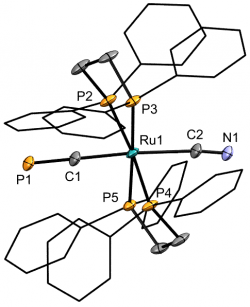 X-ray strucutre of trans-[Ru(dppe)2CN(CP)]