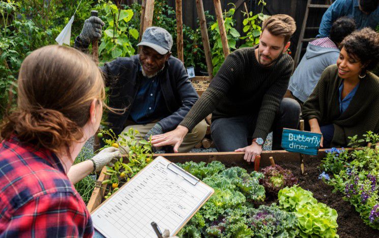 Researchers survey the produce in a vegetable patch Researchers survey the produce in a vegetable patch