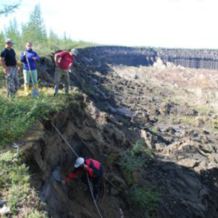 Permafrost Laboratory researchers at the Batagay megaslump