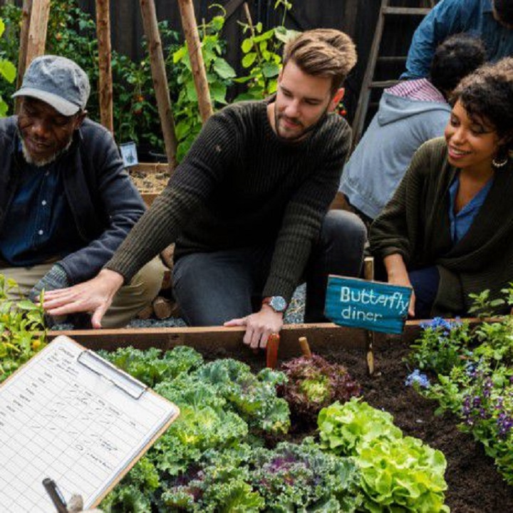 Three people looking into a garden bed planted with lettuces and labelled Butterfly diner, while another holds a clipboard and pen