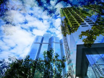 High-rise buildings with reflections of green trees.