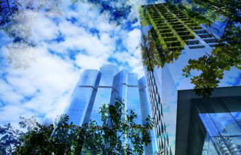 High-rise buildings with reflections of green trees.