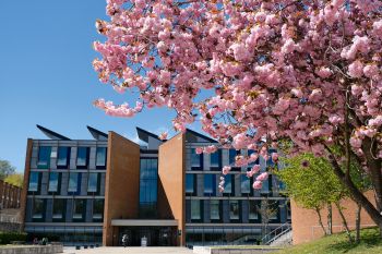 Exterior shot of Jubilee building with pink cherry blossom in foreground