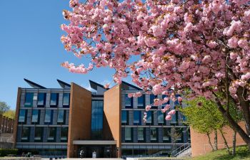 Exterior shot of Jubilee building with pink cherry blossom in foreground