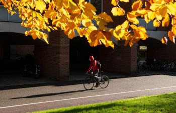An image framed by yellow autumn leaves shows a cyclist in a red hoodie cycling through campus