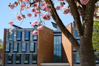 Jubilee building with cheery blossom in foreground