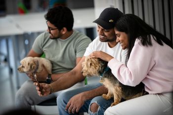 Students with a dog on their lap