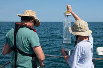 Researchers at work on a boat for the SSRP project 'Documenting the recovery of the Sussex inshore ecosystem'