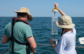 Researchers at work on a boat for the SSRP project 'Documenting the recovery of the Sussex inshore ecosystem'