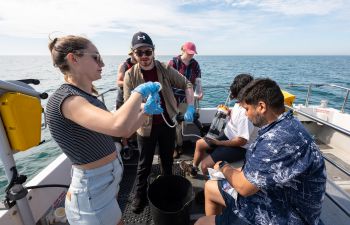 Researchers at work on the project 'Documenting the Recovery of the Sussex Inshore Ecosystem'