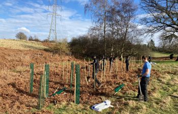 Trees for trips scheme, trees being planted in Sussex