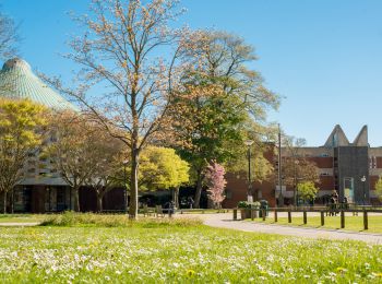 Image of trees and campus buildings