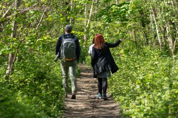 Two people walking through woodland surrounded by green leaves.