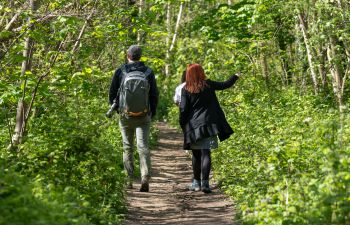 Two people walking through woodland surrounded by green leaves.