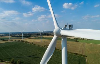 Wind turbines in a field