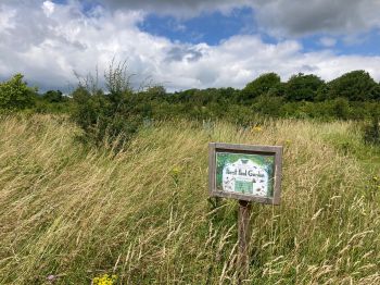 A sign for the Forest Food Garden in amongst long grass