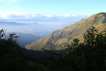 A sun-dappled valley in the Ecuadorian Andes