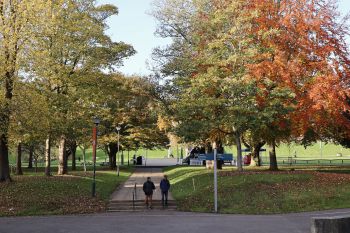 People walking under trees on campus