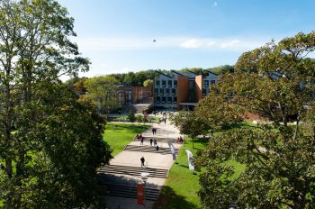 Photo of campus buildings, pathways and trees