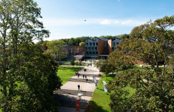 Photo of campus buildings, pathways and trees