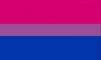 Pink, purple and blue bi-visibility flag