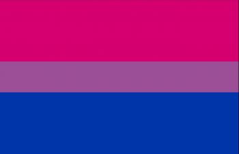 Pink, purple and blue bi-visibility flag