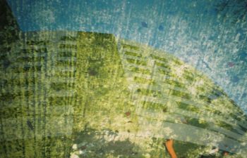 Abstract green curved roof against blue background