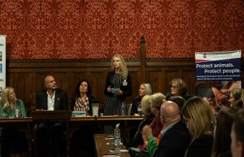 Rebecca Stephens is standing and speaking in an obviously formal venue with plush wallpaper and banners and others seated at long tables to either side of her.