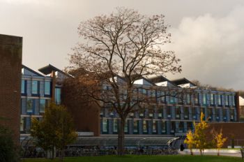 a photo of jubilee building with orange leaves to represent the changing season