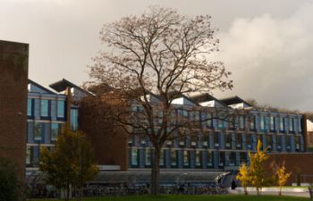 a photo of jubilee building with orange leaves to represent the changing season