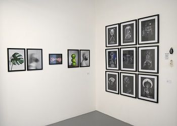 artwork displayed at exhibition