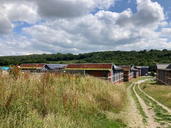 The green roofs at Northfield viewed from the fields