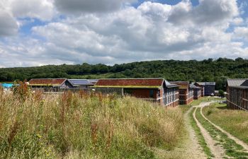 THe green roofs at Northfield, looking from the field