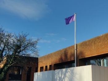 Purple disability flag flying over Sussex House