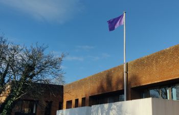 Purple disability flag flying over Sussex House