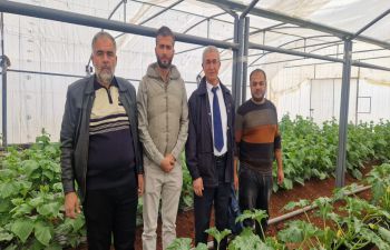 Participants at the greenhouse of the Agricultural Development Centre in Northwest Syria