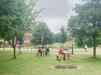 New picnic benches around campus