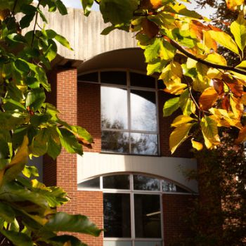 Image of campus building and autumn leaves