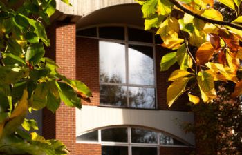 Image of campus building and autumn leaves