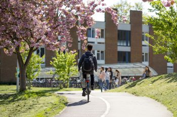 Bike under blossom on campus